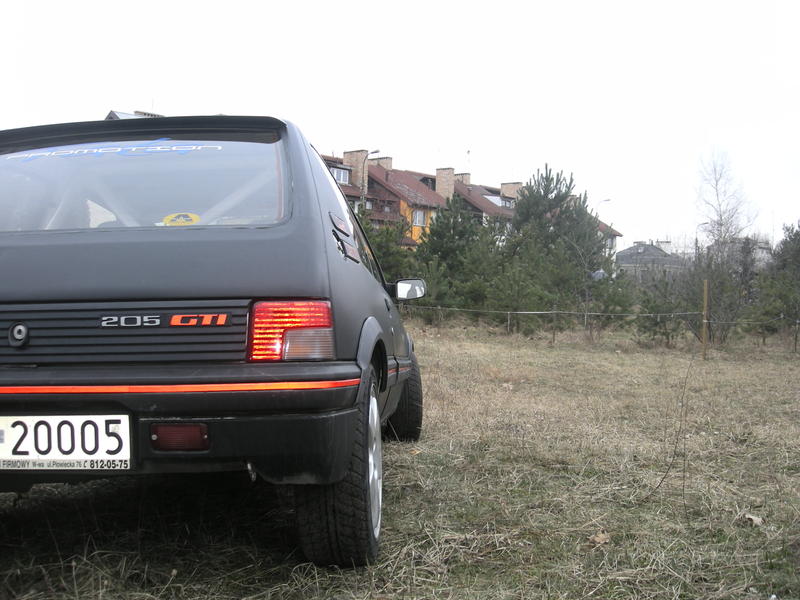 205 GTI 014