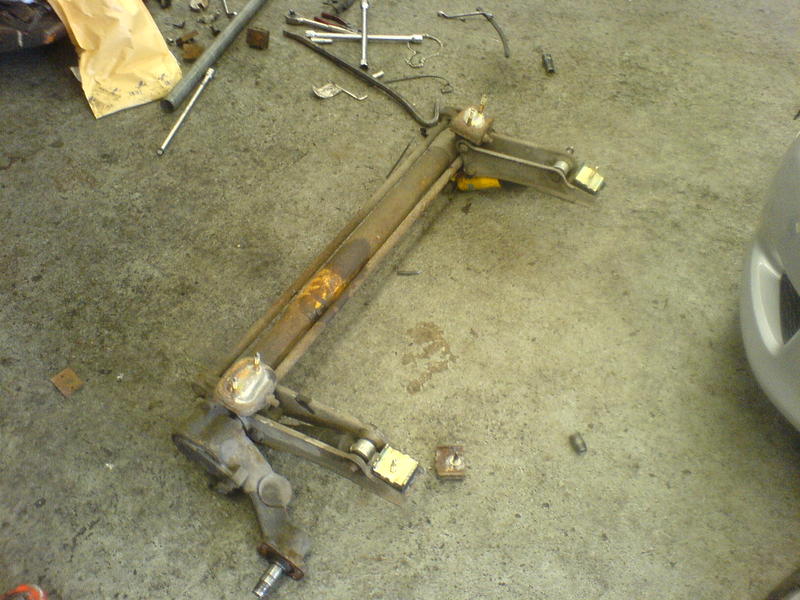 Belka wyjeta, gotowa do zabawy